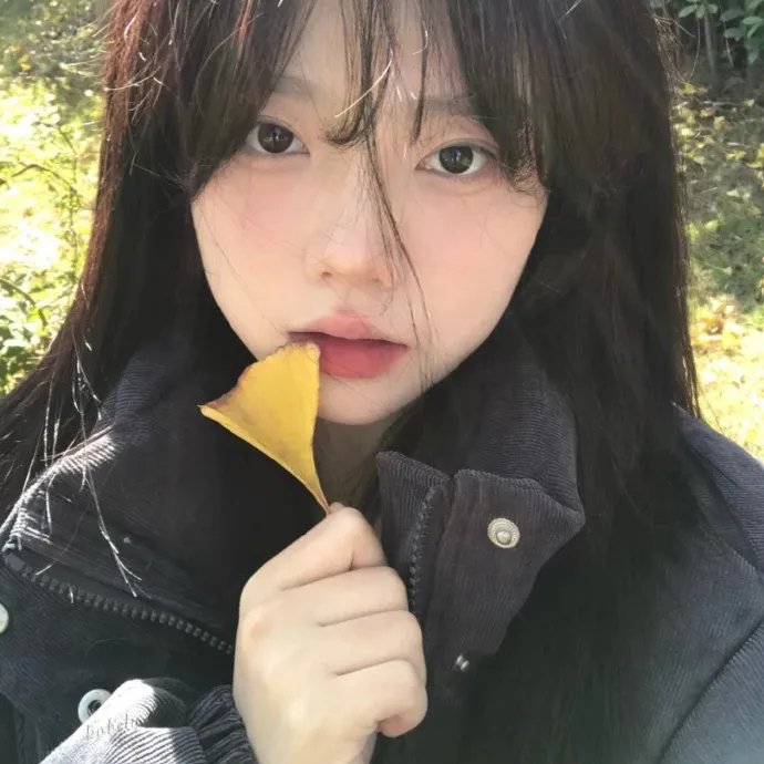 里夫金的电影节